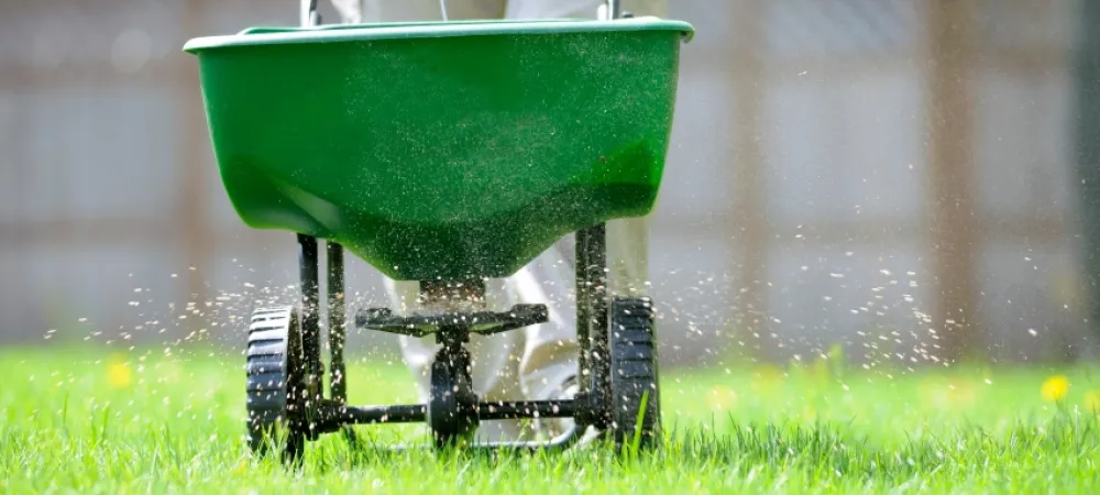 Fertilizer being applied to a lawn