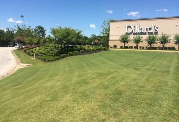 Dillards