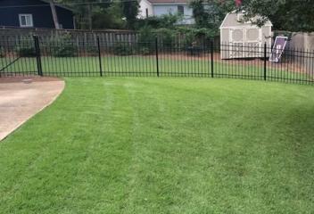 lawn