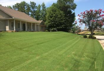 lawn
