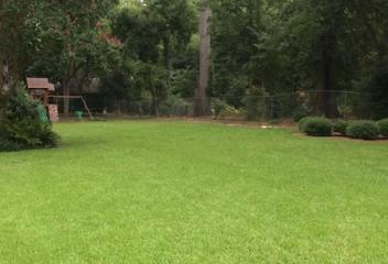 lawn