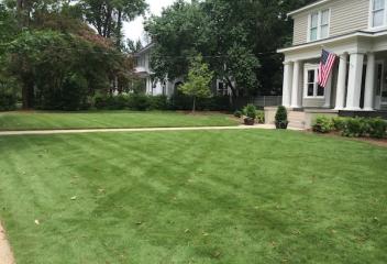 lawn