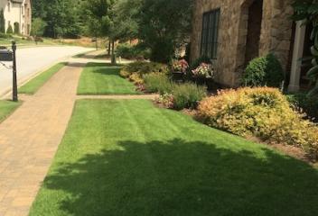 lawn