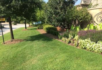 lawn