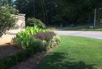 lawn