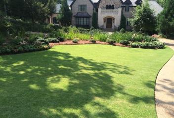 lawn