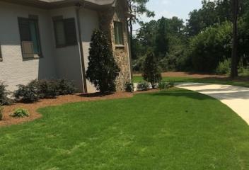 lawn
