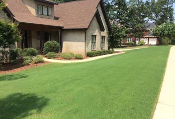 lawn
