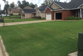 lawn