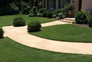 lawn