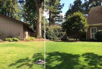 before and after