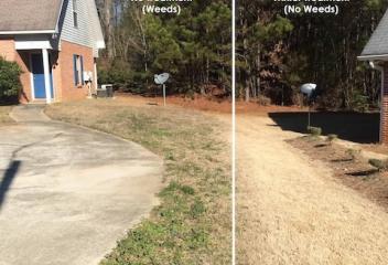 before and after
