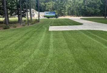 lawn