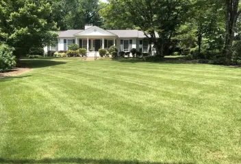 lawn