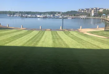 lawn