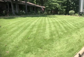 lawn