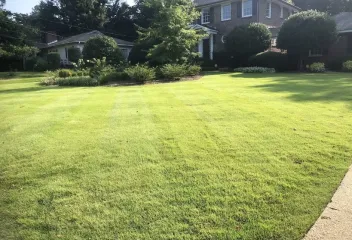 lawn