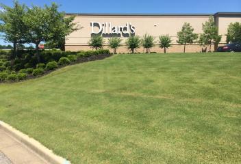 Dillards