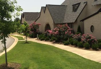 lawn