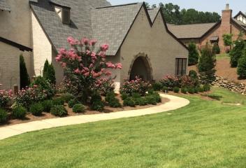 lawn