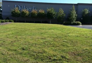 Dillards