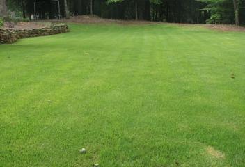 lawn