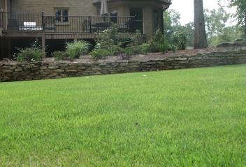 lawn