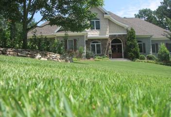 lawn