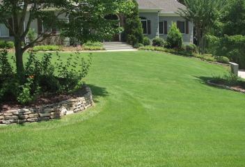 lawn