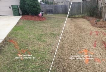 before and after