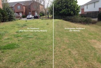 before and after