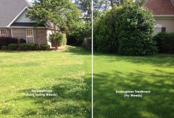 before and after