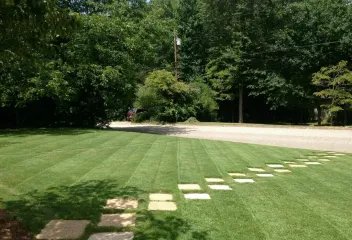lawn