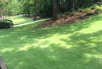 lawn