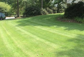 lawn