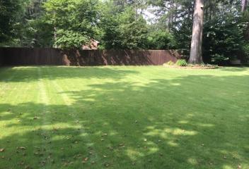 lawn