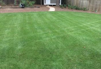 lawn