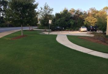 lawn