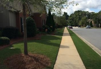 lawn