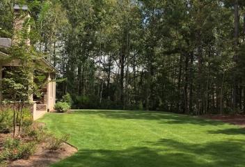 Lawn