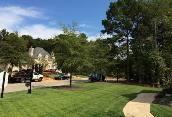 Lawn