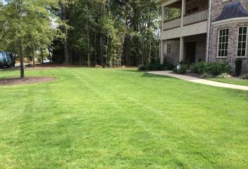 Lawn