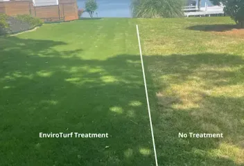 before and after