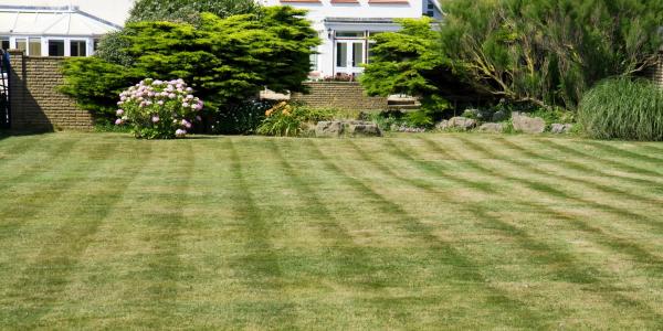 Mown Lawn During Drought in Alamaba