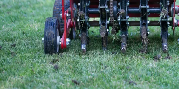 aerating lawn